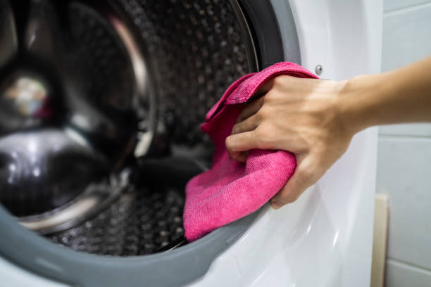 Trusted Spring Lake, NJ Mold Removal Experts