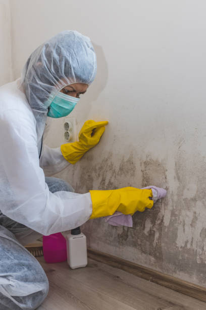 Best Forensic Mold Investigation  in Spring Lake, NJ