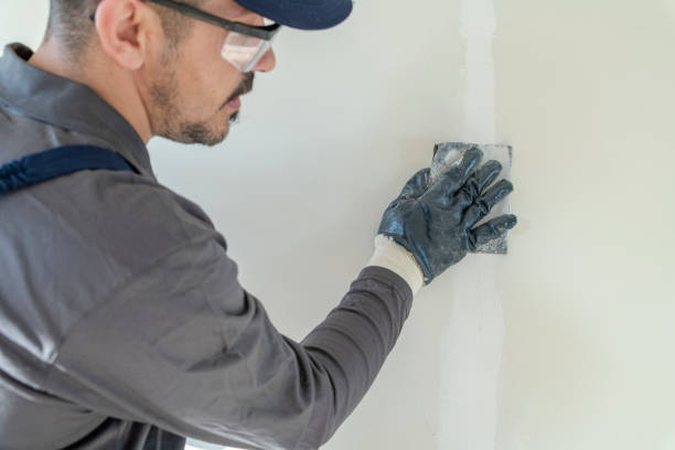 Best Residential Mold Inspection & Testing  in Spring Lake, NJ