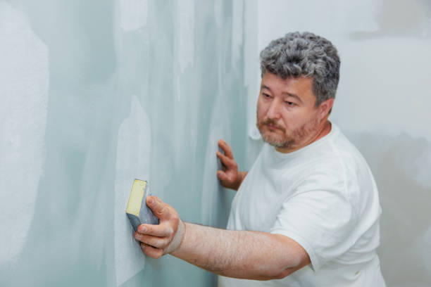 Best Basement Mold Removal  in Spring Lake, NJ