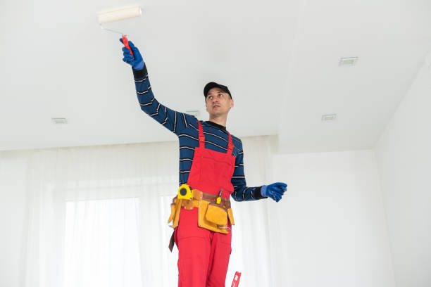 Mold Removal for HVAC Installations in Spring Lake, NJ