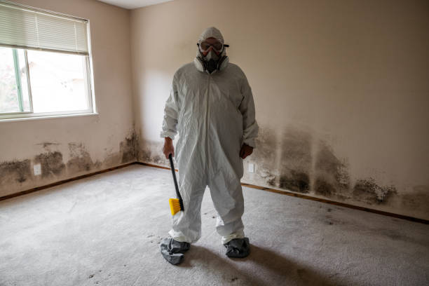 Best Environmental Consulting for Mold Prevention  in Spring Lake, NJ
