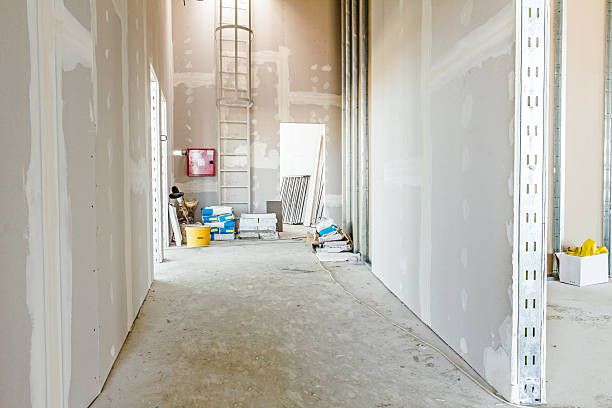  Spring Lake, NJ Mold Removal Pros