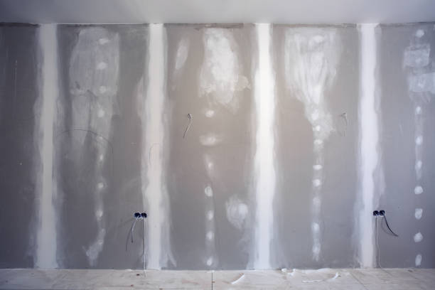 Best Mold Remediation for Healthcare Facilities  in Spring Lake, NJ